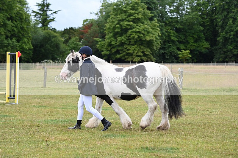 WJ6_8771 - Class 10 Coloured in-hand
