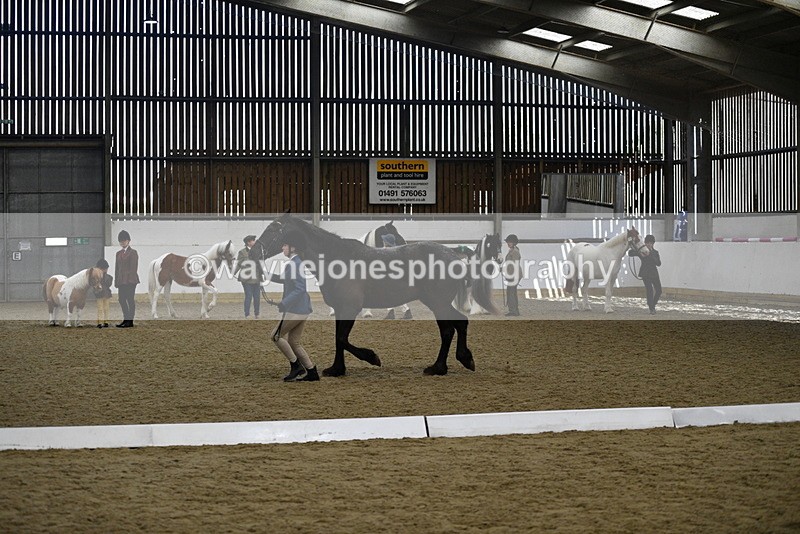 WJ5_4831 - Class 7 In hand coloured / odd coloured