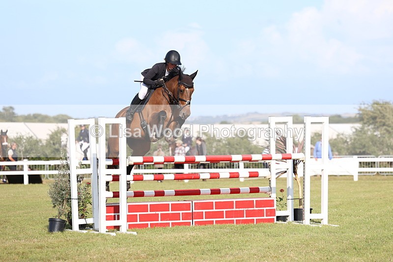 3E7A4293 - Class C: Showjumping Senior Foxhunter