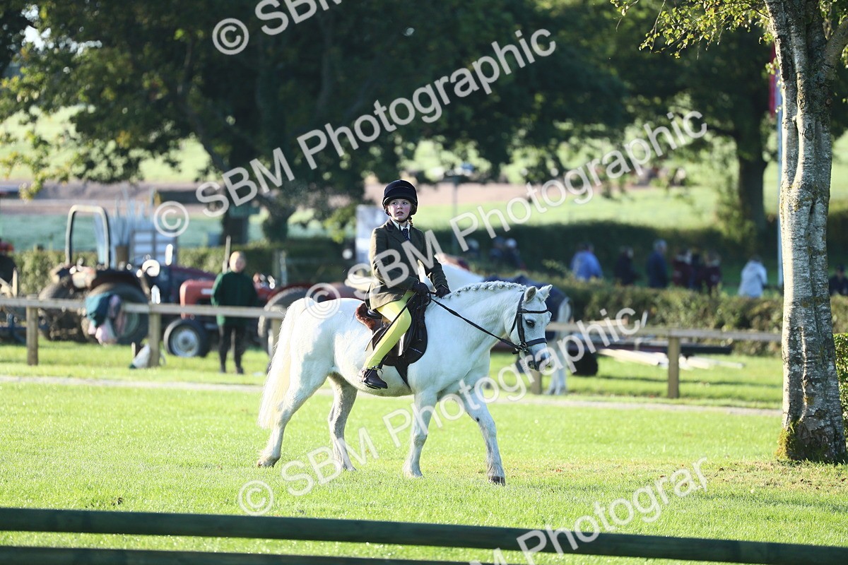 SBM_31775 - S28 - Nursery Stakes Working Hunter Pony