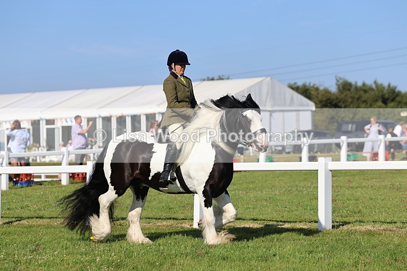 IMG_1468 - Class 30: Ridden Native/Trad Coloured Pony