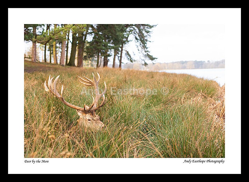 Tatton-5a - Tatton Park, Knutsford, Cheshire
