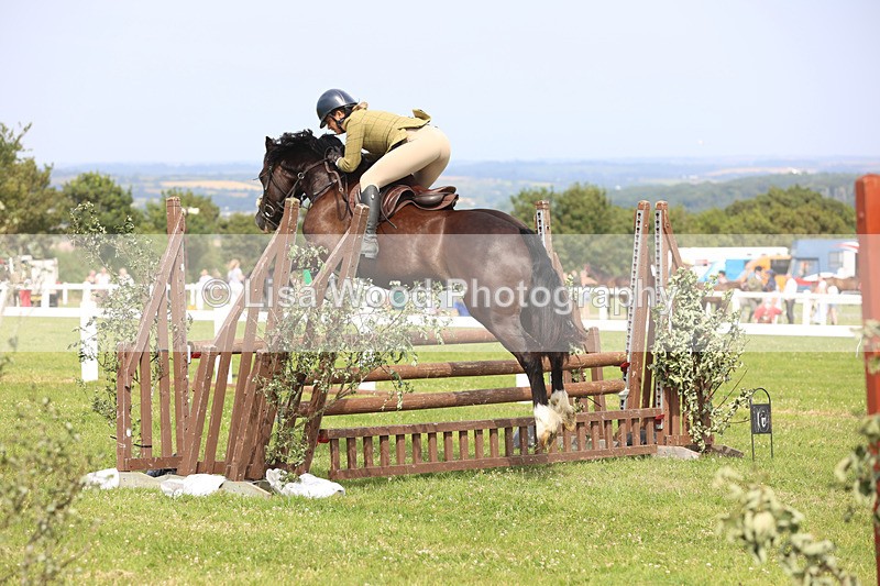 JPP_4036 - Class 24: Working Hunter 90cm
