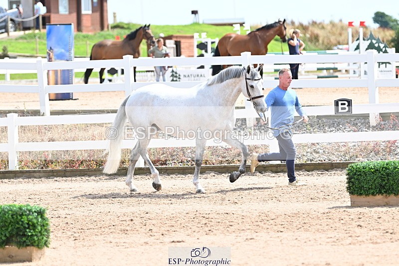 240717A-144839-02310 - Trot Up 2pm to 3pm - This folder is not in time order