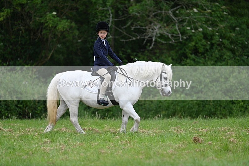 WJ7_4377 - Class 14B Prettiest Mare