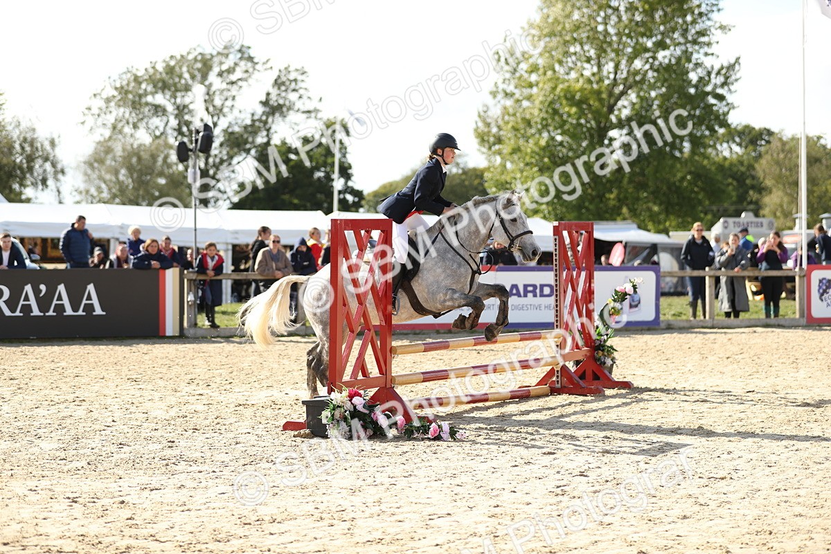 SBM_49487 - J22 - Junior Horse 65cm Championship