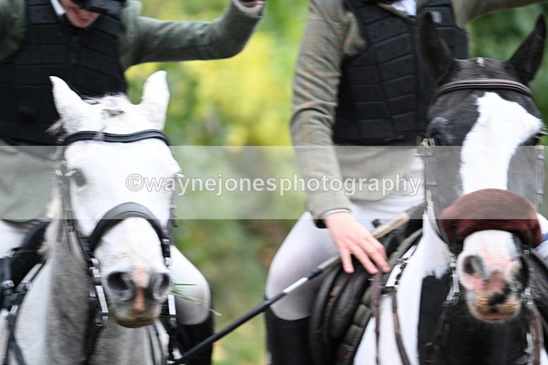 WJ7_7275 - Walk Home..