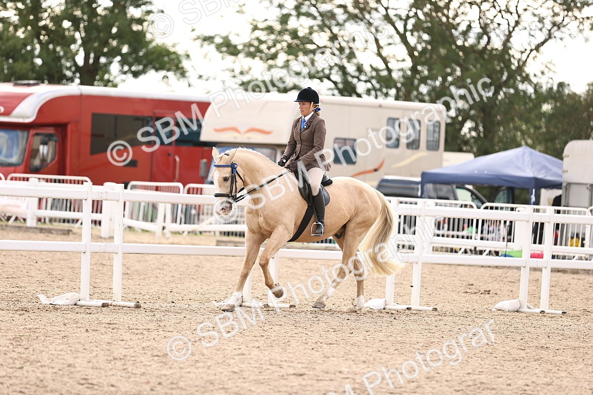SBM_18200 - Class 423 - Equitation (best rider) Adult