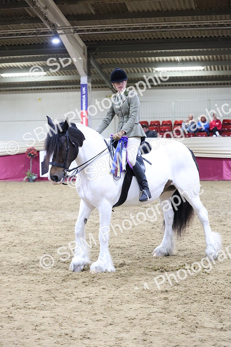 SBM_21333 - Class S - Style & Performance Champ