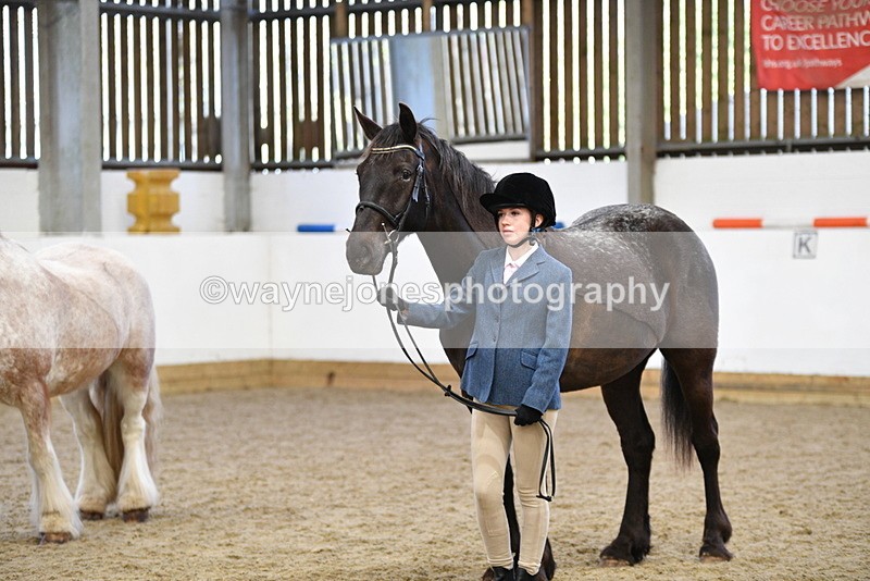 WJ5_5096 - Class 7 In hand coloured / odd coloured