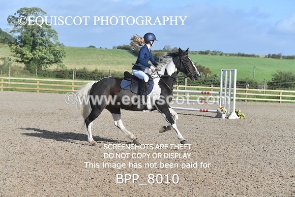 BPP_8010 - CLASS 31 SUN Club/ Unaffiliated 80cms Open