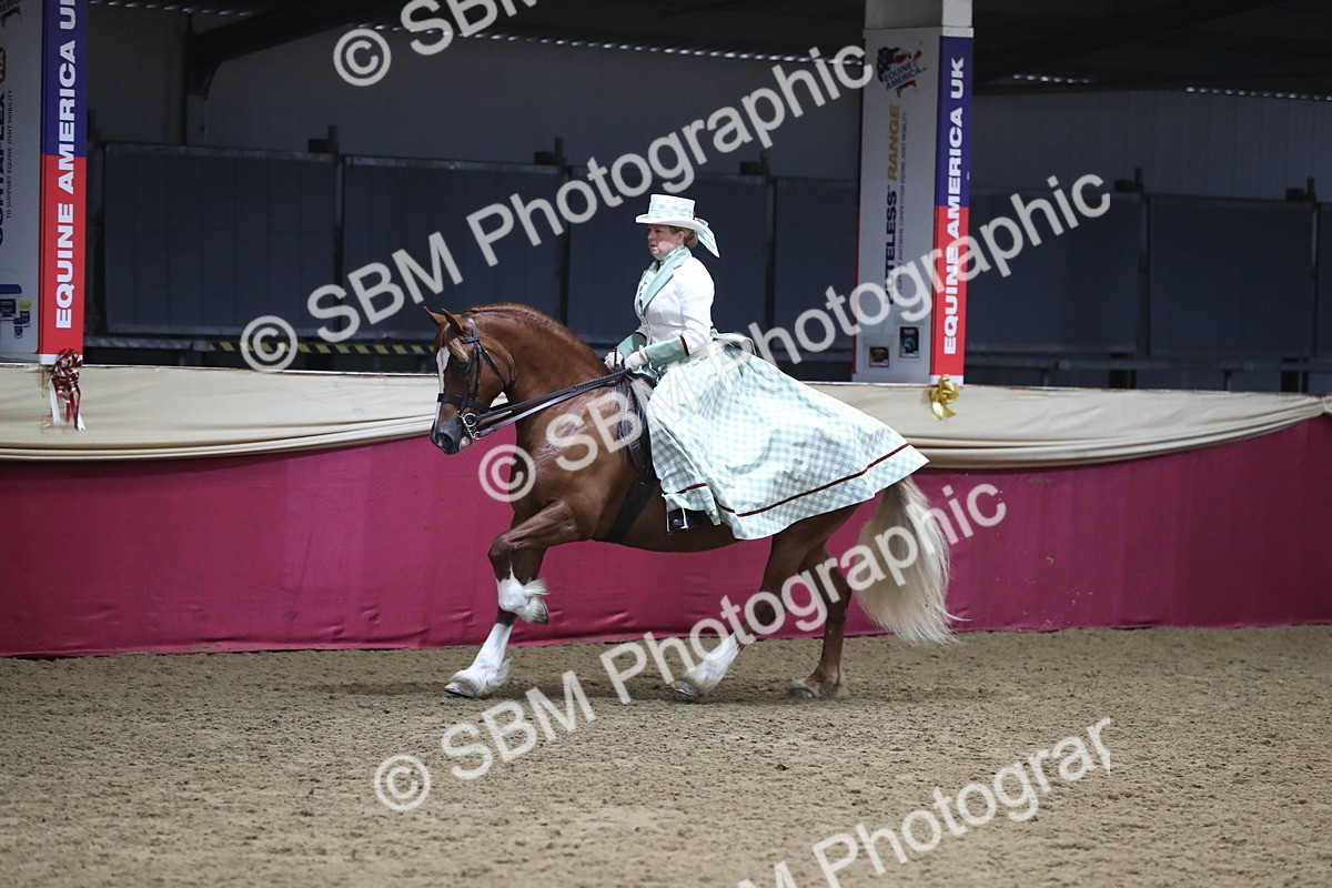 SBM_12027 - Class 106 Ridden Costume- Astride Adult (15-19)