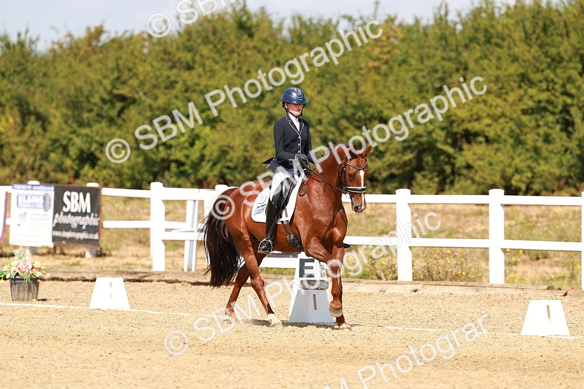 SBM_018323 - Class 9 - N5 Bronze 11.57.13.07