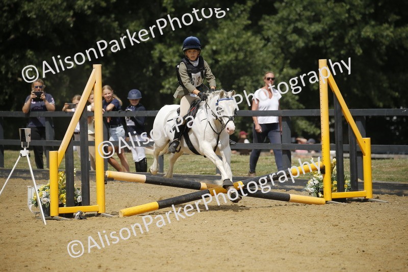 20250622-3965 - 50cm