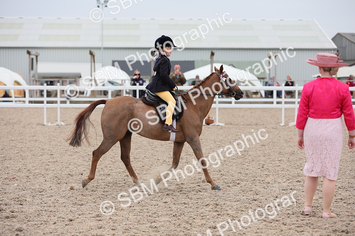 SBM_18129 - Class 316 Best Pony/Rider Combination