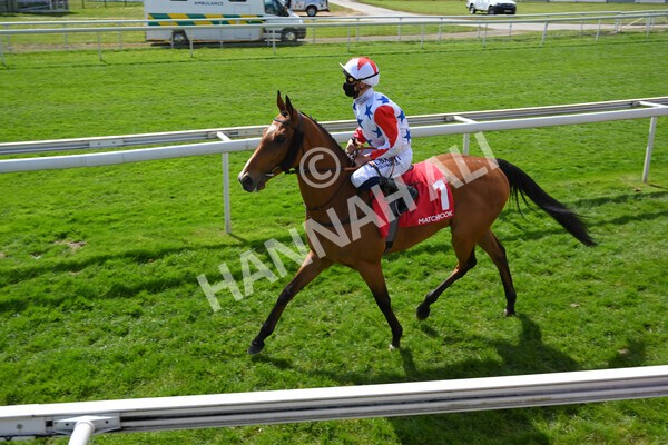  - Race 3 2.40pm The Matchbook Betting Podcast Hambleton Stakes