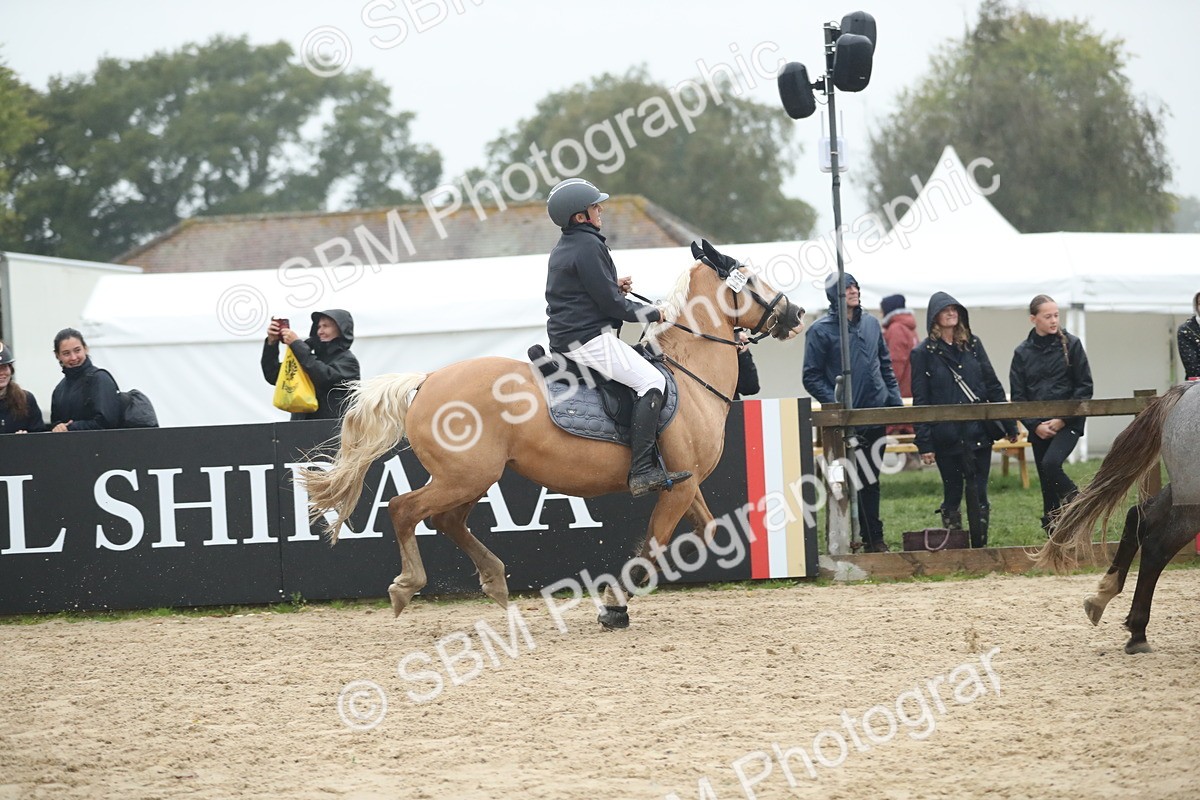 SBM_74354 - Supreme championship Junior Pony 70cm 75cm