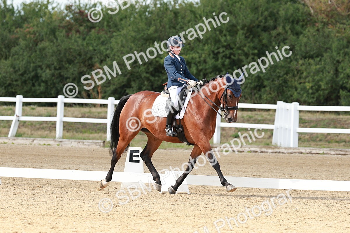 SBM_002507 - Class 11 - Medium 6