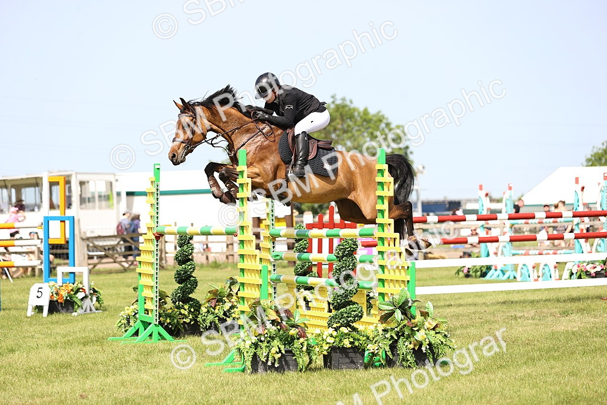 SBM_03086 - Class 201 - British Horse Feedds Speedi Beet HOYS Grade C