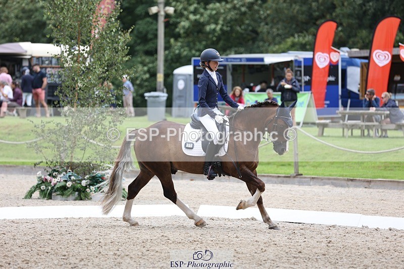 230812-120241-03915 - Cls 5 Novice Bronze 11.15 to 12.50 break