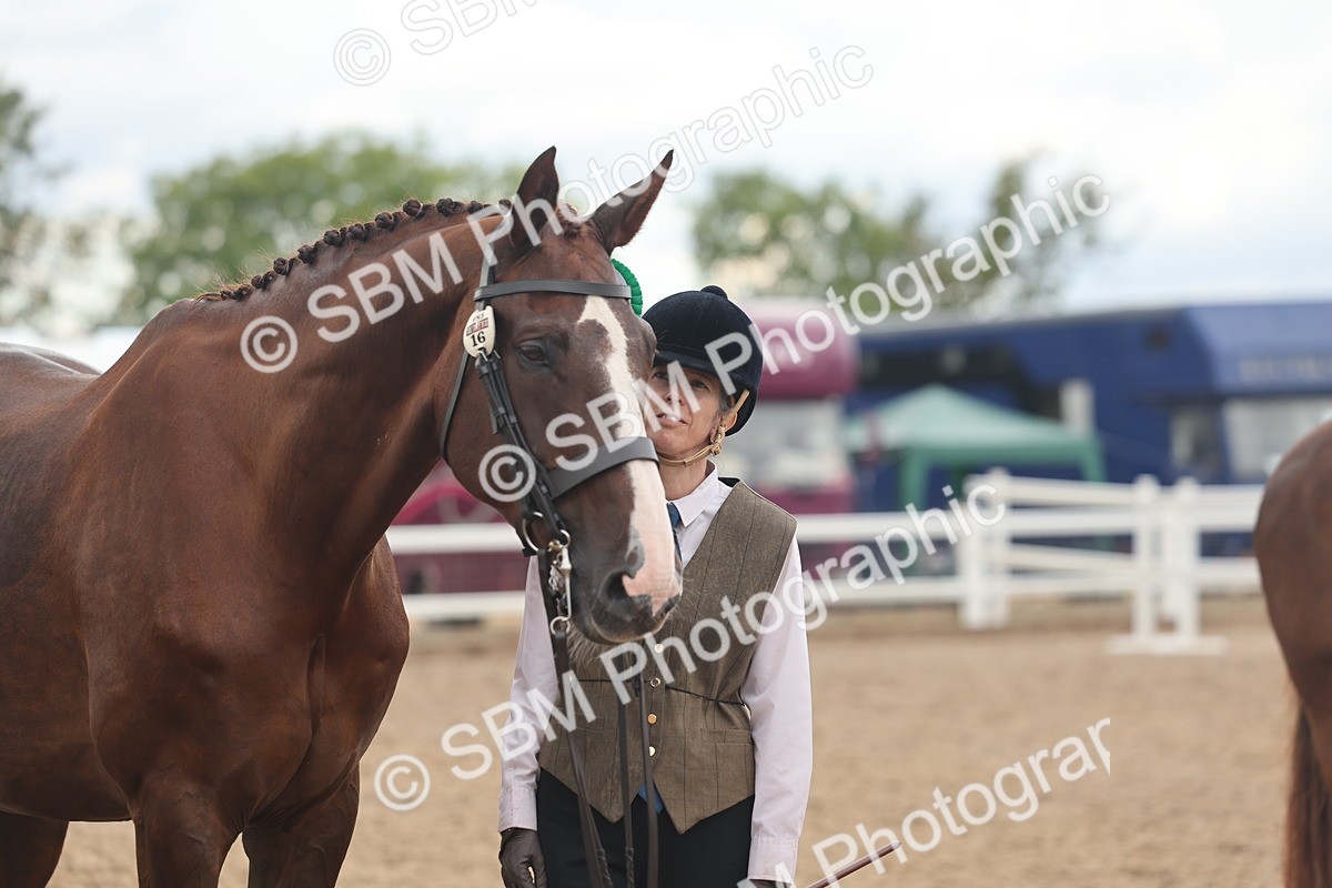 SBM_07841 - Class 27 - IH Competition Horse/Pony
