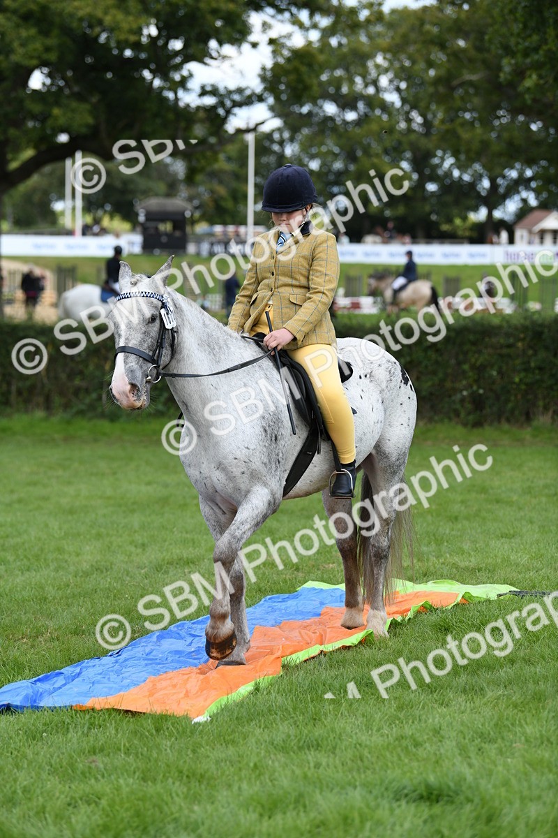 SBM_47181 - S12 - Family Horse & Pony