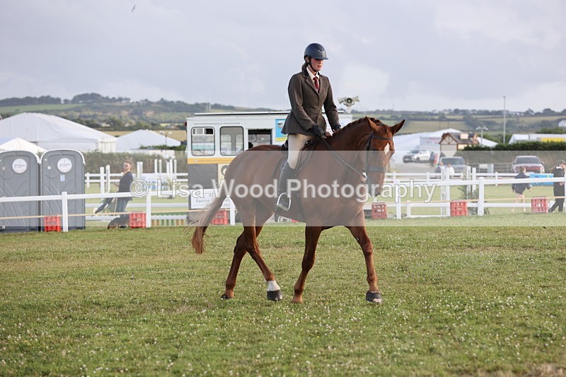 JPP_3759 - Working Hunter Championship