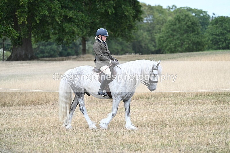WJ7_5413 - Class 12 Ridden Cob