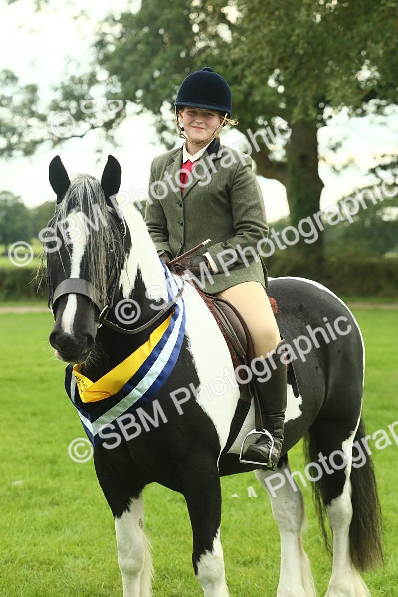 SBM_75214 - Super Supreme Championship