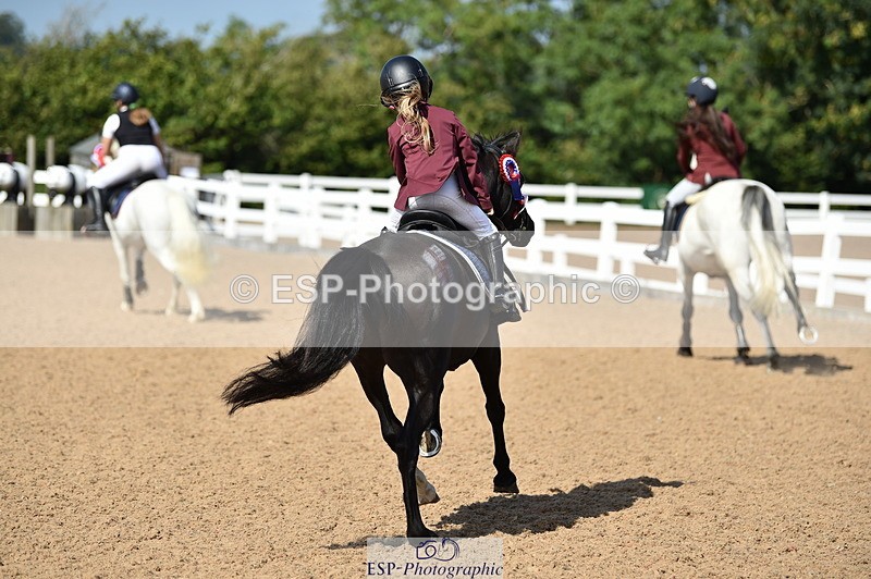 230903A-113958-04250 - Cls 18 Pony Brit Novice & 80cm Open