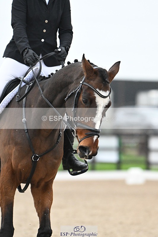 241103-130200-02160 - Prelim 2 - 12.05 to 13.15