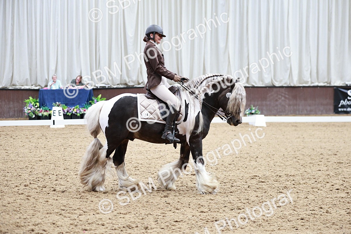 SBM_006045 - Class 17 - Advanced Medium FSM - 13.44-14.48