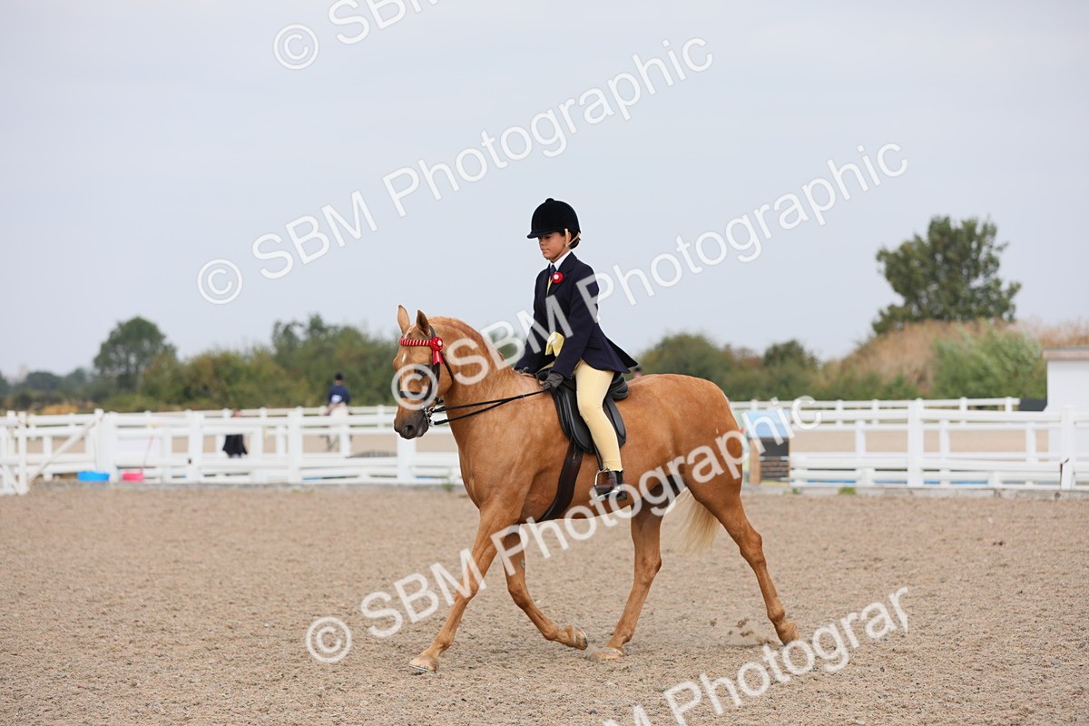 SBM_12732 - Class 307 Ridden Coloured Pony