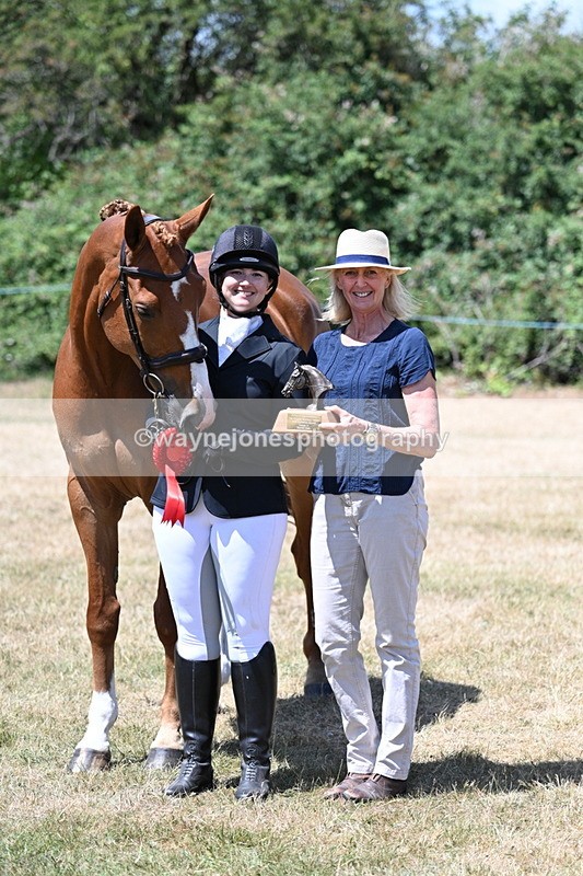 WJ7_2516 - Most Handsome Gelding Champs