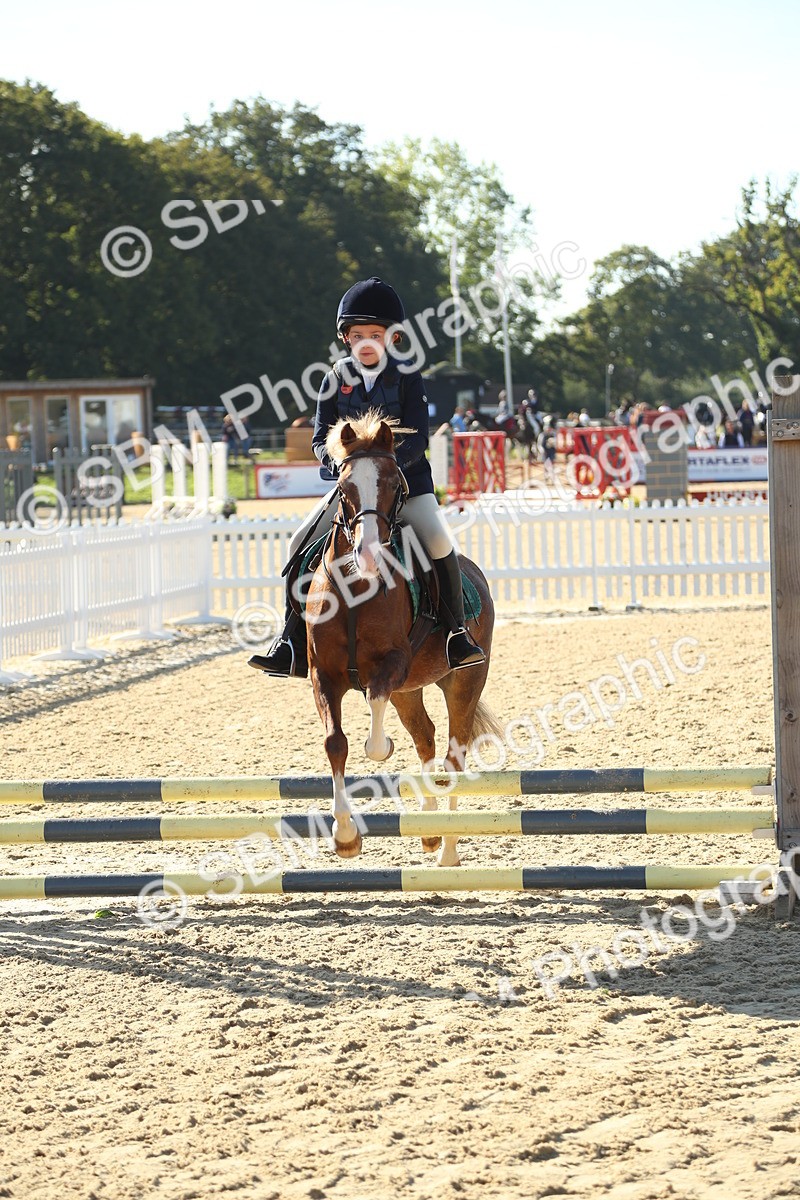 SBM_35911 - J5 - Junior Pony 50cm Championship