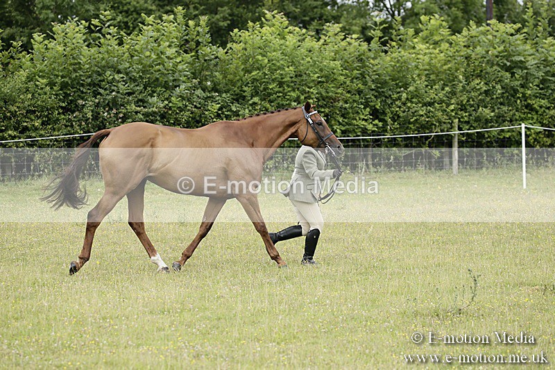 BVR160717-205 - Ring 2 BVRC Show 16/07/17