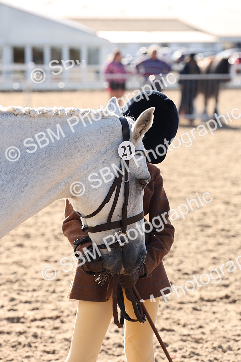 SBM_11679 - Class 203 - Young Handler 11 to 16 years