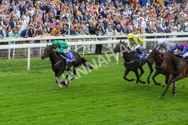 240823-Race 1-Relief Rally-5023 - Race 1 1.50pm Sky Bet Lowther Stakes