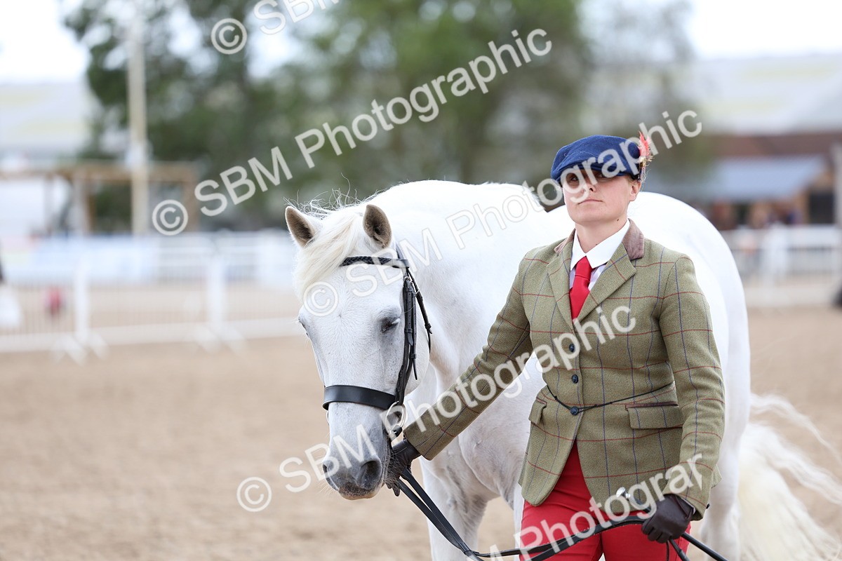 SBM_05130 - Class 27 - IH Competition Horse or Pony
