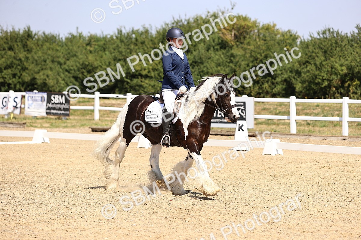 SBM_003737 - Intro 2