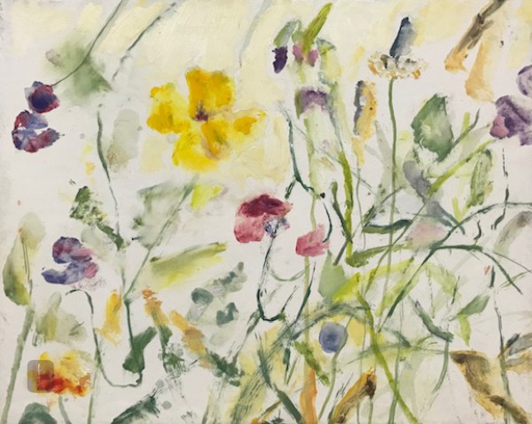 Allotment mix - Summer Light