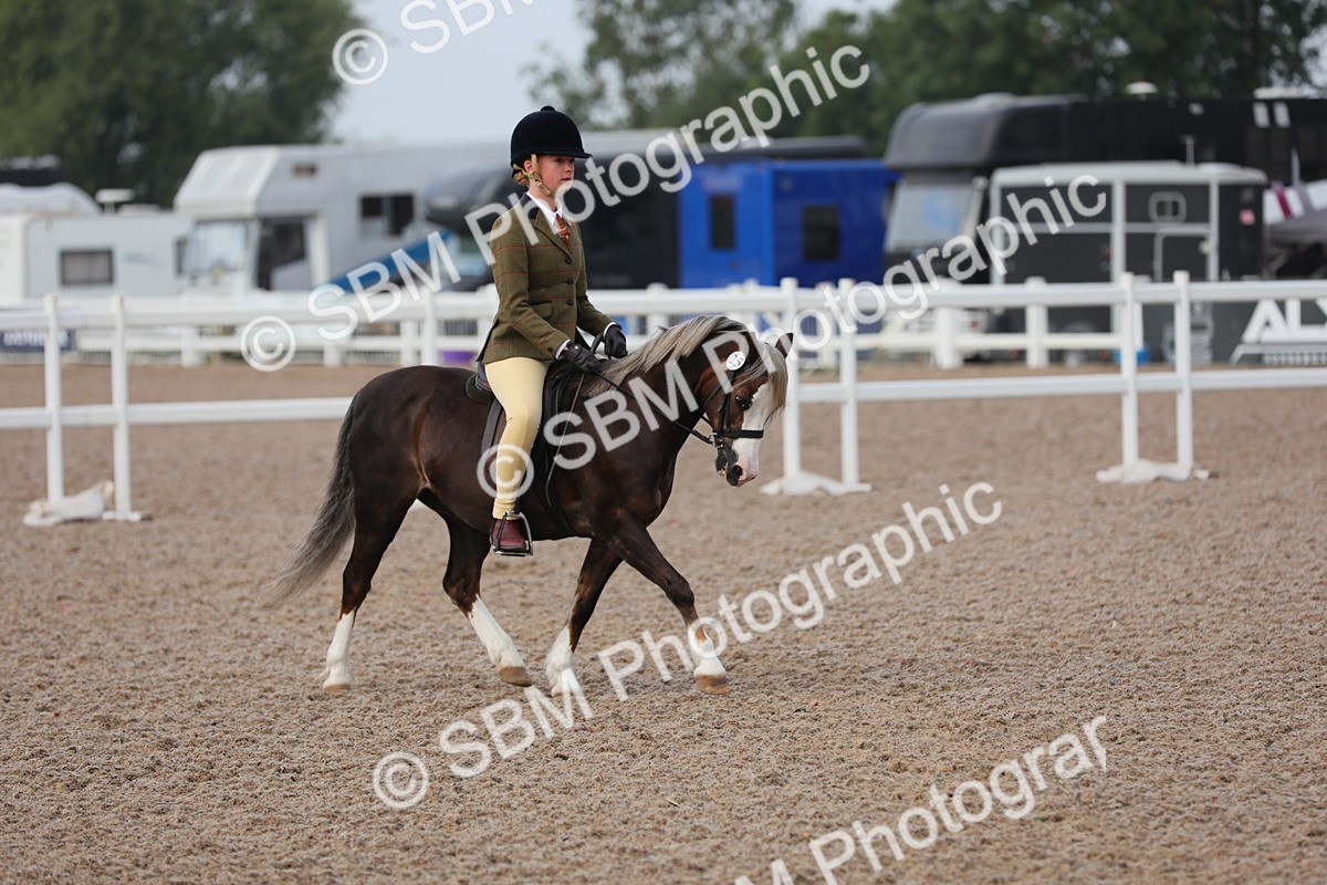 SBM_09612 - Class 301 Ridden M&M -Small Breeds
