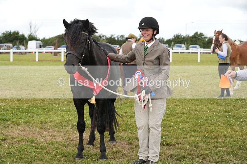 DSC05983 - NPS M&M In Hand Championship