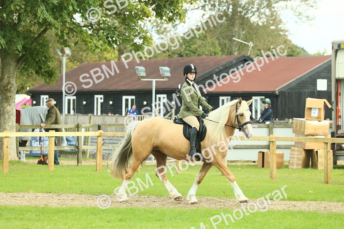 SBM_62647 - S63 - Other Coloured Horse Ridden