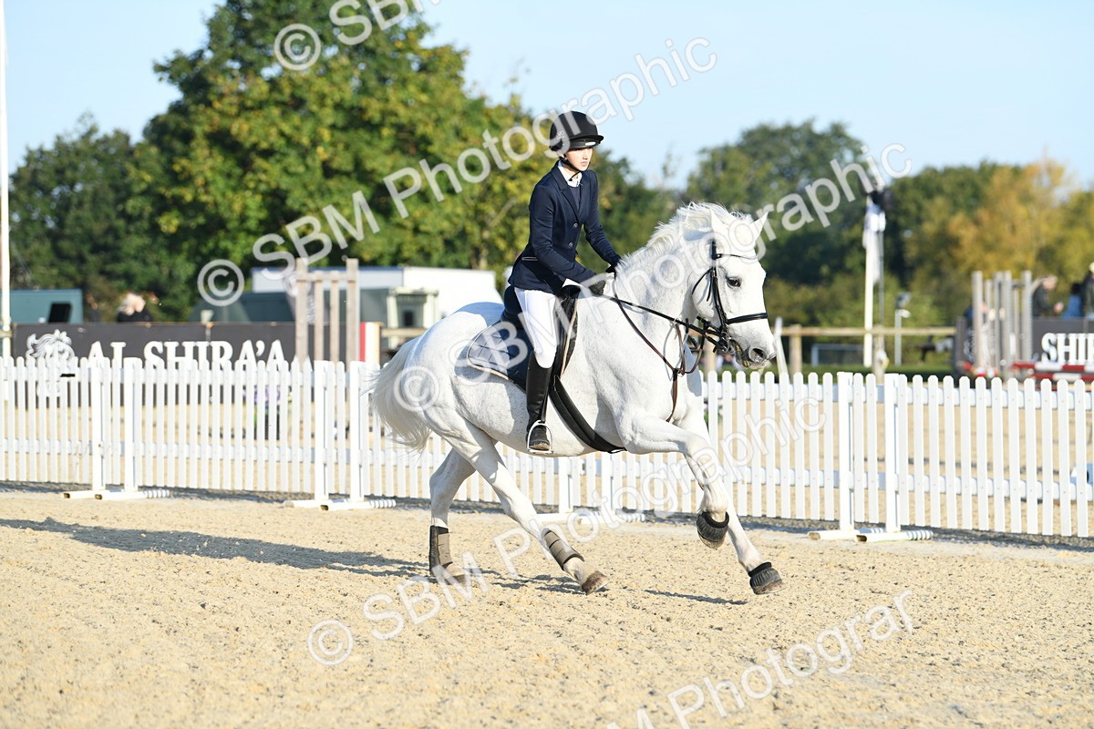 SBM_58097 - J24 - Junior Horse 75cm Championship