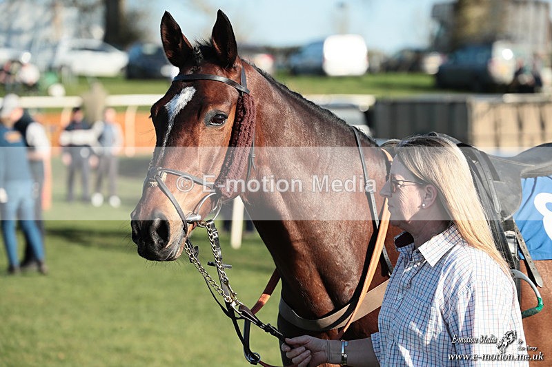 PtP 210326 1169 - VWH Cirencester Races 21/03/26