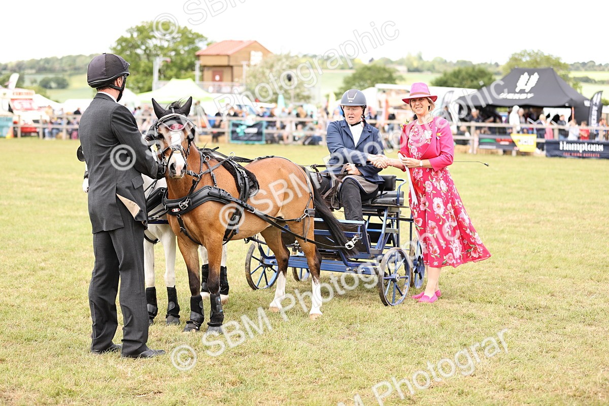 SBM_16112 - Class 91 - Scurry  exceeding 122cms