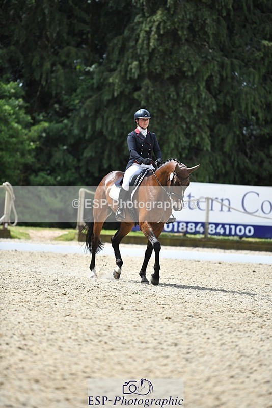 230525-113403-01858 - 101-INTERFIELDS_ABOUDDI-Saffron_Cresswell-WEDTrotUp+DR