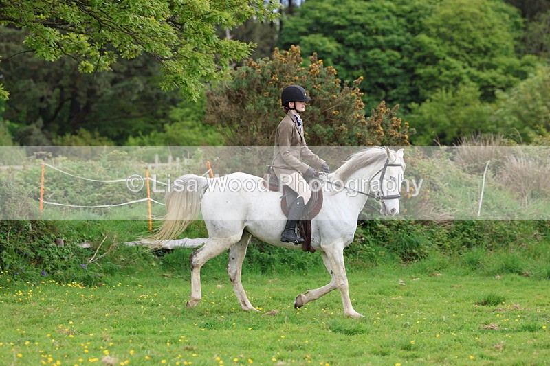 3E7A2073 - Class 11: Ridden Arab