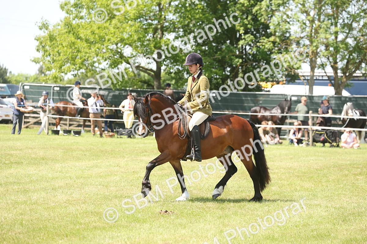 SBM_06937 - Class 26-30 - Mountain and Moorland Ridden
